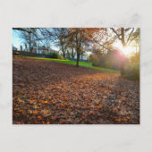 Autumn  briefkaart (Voorkant)