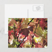 AUTUMN BRIEFKAART (Voorkant / Achterkant)