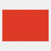 Autumn Bright Fallen Leaves Plaid Inpakpapier Vel (Voorkant 3)