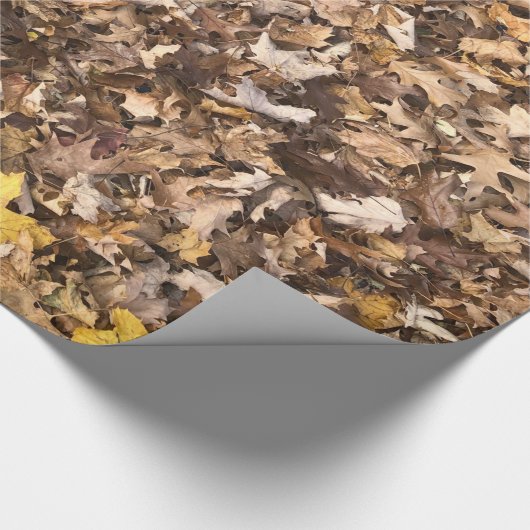 Autumn Brown Leaves Collection Cadeaupapier (Hoek)