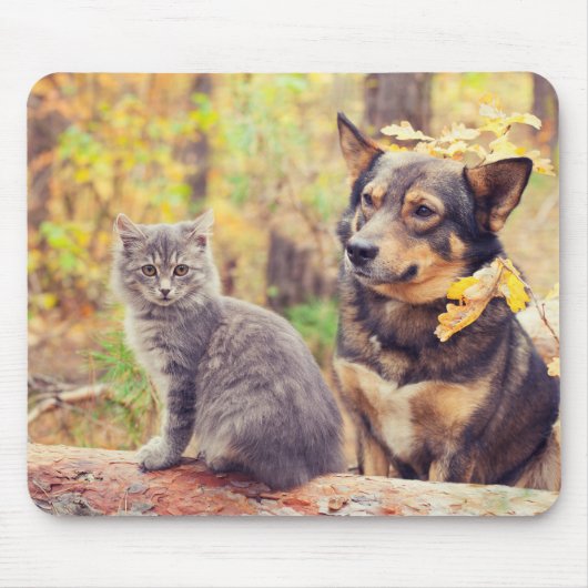 Autumn Buddies: Grey Kitten en Happy Puppy Muismat (Voorkant)