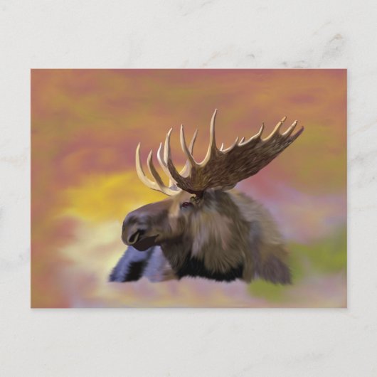 Autumn Bull Moose Briefkaart (Voorkant)