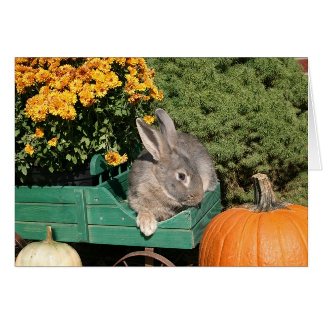 Autumn bunny (Voorkant Horizontaal)
