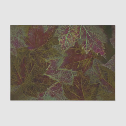 Autumn Burgundy Gold die donkerder springt Tissuepapier (Voorkant)