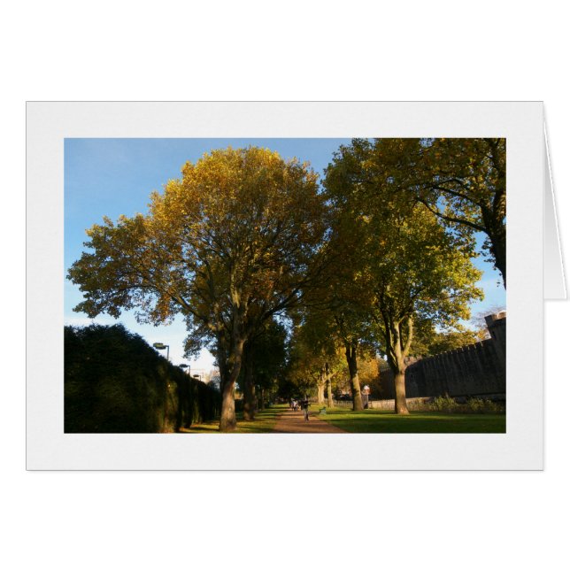 Autumn, Bute Park, Cardiff (grens) (Voorkant Horizontaal)