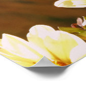 Autumn Butterfly Poster (Hoek)