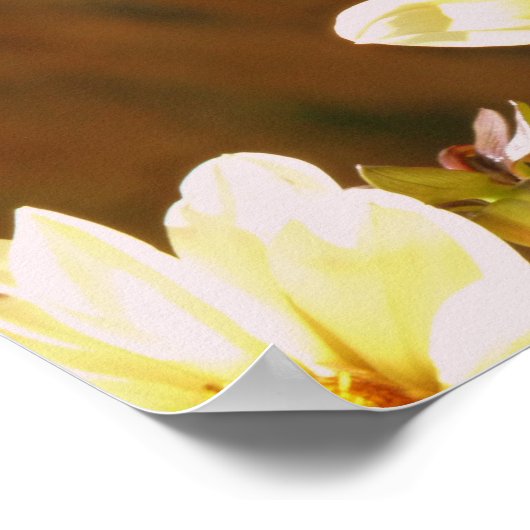 Autumn Butterfly Poster (Hoek)