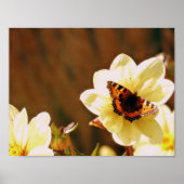 Autumn Butterfly Poster (Voorkant)