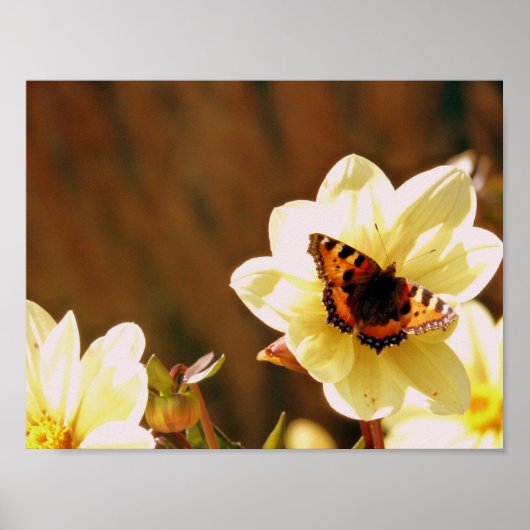 Autumn Butterfly Poster (Voorkant)