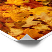 Autumn by Johannes Stötter Poster (Hoek)