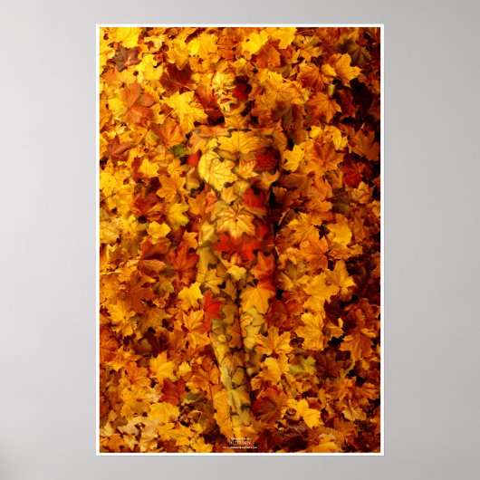 Autumn by Johannes Stötter Poster (Voorkant)