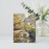 Autumn by the river briefkaart (Staand voorkant)
