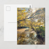 Autumn by the river briefkaart (Voorkant / Achterkant)