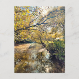 Autumn by the river briefkaart