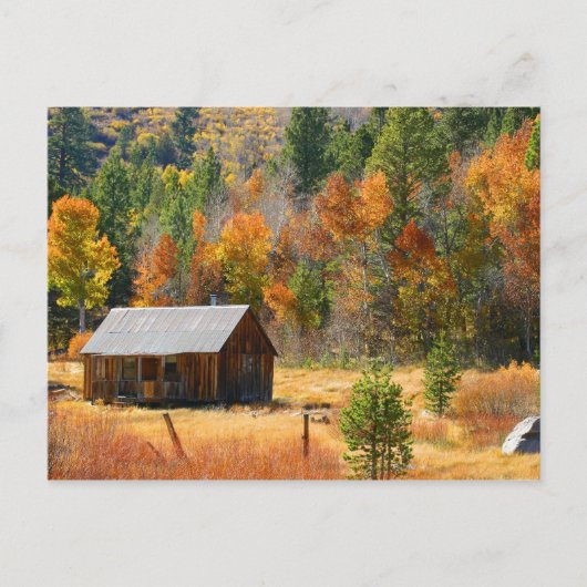 Autumn Cabin Briefkaart (Voorkant)