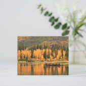 Autumn Calm Briefkaart (Staand voorkant)
