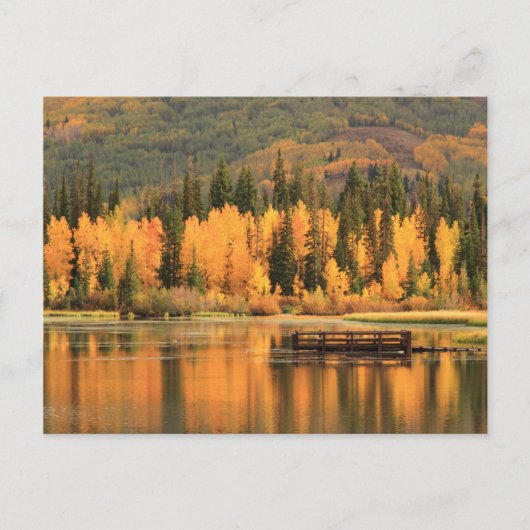 Autumn Calm Briefkaart (Voorkant)