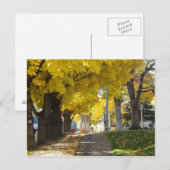 Autumn Canopy Briefkaart (Voorkant / Achterkant)