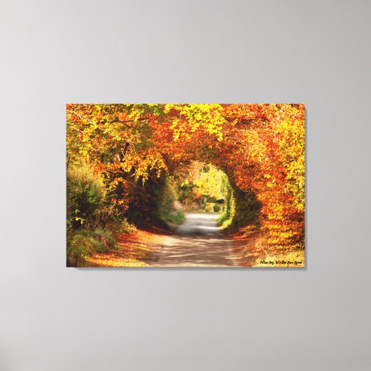 Autumn, Canvas Print, Yellow Bog Kilcullen (Voorkant)
