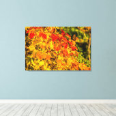 Autumn Cascade Canvas Afdruk (Insitu (Houten vloer))