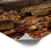 Autumn Cascade Print (Hoek)