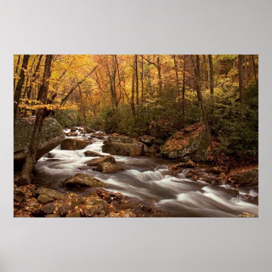 Autumn Cascade Print (Voorkant)