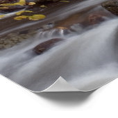 Autumn Cascade Print (Hoek)