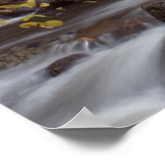 Autumn Cascade Print (Hoek)