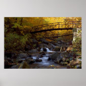 Autumn Cascade Print (Voorkant)