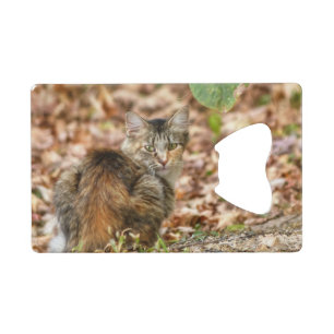 Autumn Cat Creditkaart Flessenopener
