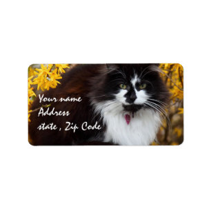 Autumn Cat Etiket