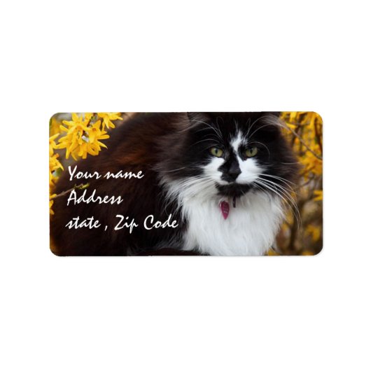 Autumn Cat Etiket (Voorkant)