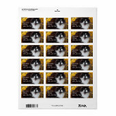 Autumn Cat Etiket (Full Sheet)