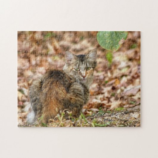 Autumn Cat Legpuzzel (Horizontaal)