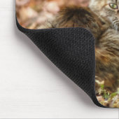 Autumn Cat Muismat (Hoek)