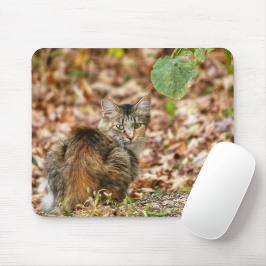 Autumn Cat Muismat (Met muis)