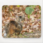 Autumn Cat Muismat (Voorkant)