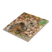 Autumn Cat Tegeltje (Zijkant)