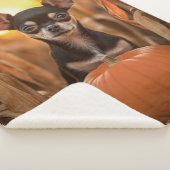 Autumn Chihuahua Sherpa Deken (3/4)