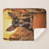 Autumn Chihuahua Sherpa Deken (Voorkant (horizontaal))