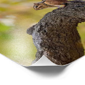 Autumn Chipmunk Foto Afdruk (Hoek)