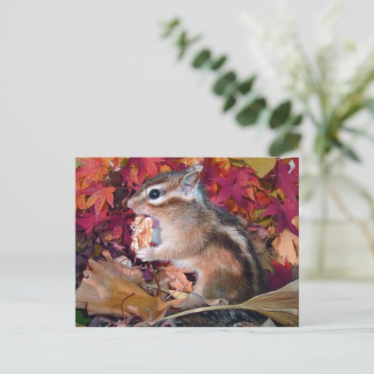 Autumn, chipmunk (foto) briefkaart (Staand voorkant)