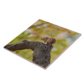 Autumn Chipmunk Tegeltje (Zijkant)