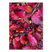 Autumn Chokecherries - 5" x 7" Art Kaart (Voorkant)