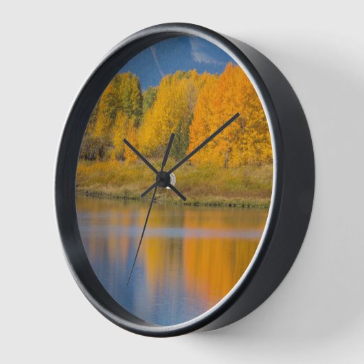 Autumn Colored Aspen Trees (Hoek)