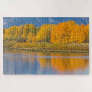 Autumn Colored Aspen Trees Legpuzzel