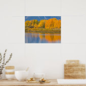 Autumn Colored Aspen Trees Poster (Keuken)