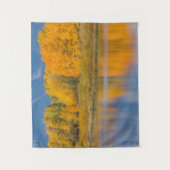 Autumn Colored Aspen Trees Wandkleed (Voorkant)