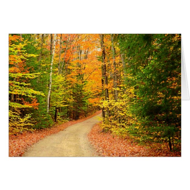 AUTUMN COLORS (Voorkant Horizontaal)