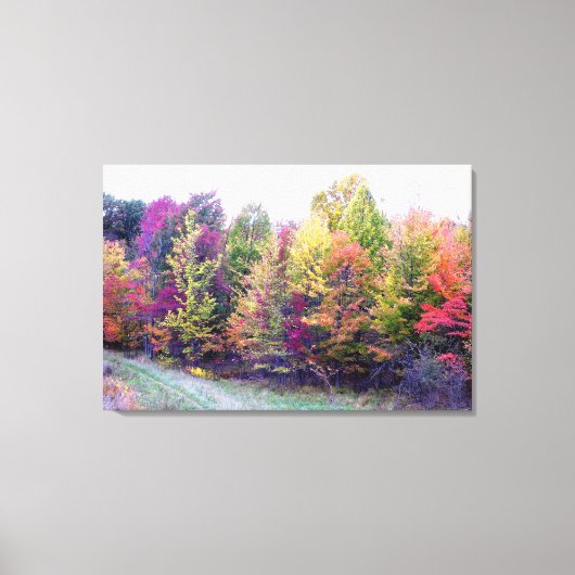 Autumn Colors Canvas afdrukken (Voorkant)